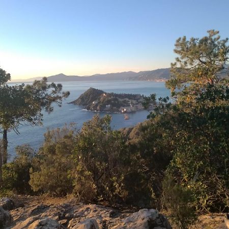Casa Caterina Setri Levante Sestri Levante Dış mekan fotoğraf